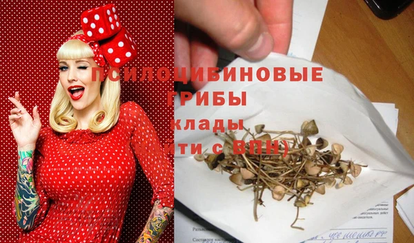 прущий лед Алексин