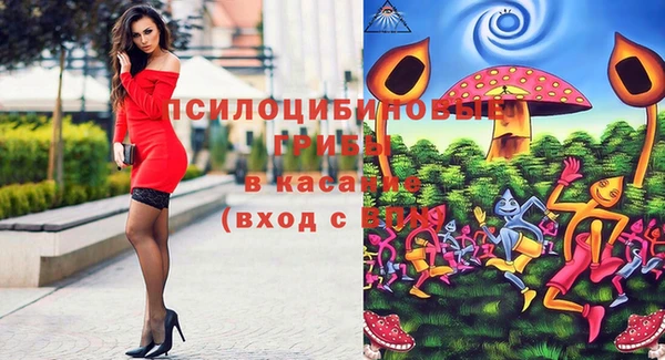 бутират Алзамай